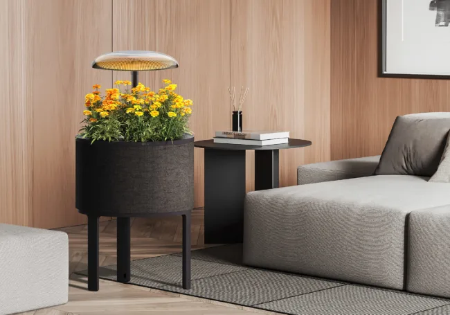 LG Electronics to introduce sleek indoor gardening appliance at CES 2025