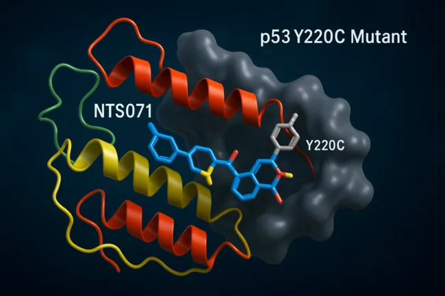 Nutshell Therapeutics secures FDA IND clearance for NTS071, targeting p53 Y220C mutation in cancer treatment