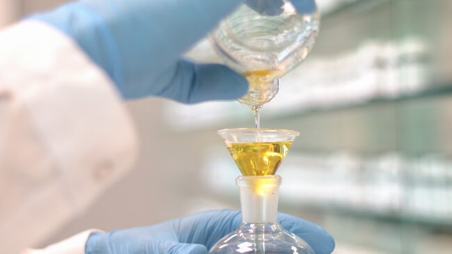 Eurofragance turns olive waste into fragrance gold with its new natural ingredient Olivante