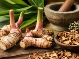 Rasna (Alpinia officinarum), also known as lesser galangal, is valued for its aromatic rhizomes, distinctive phytochemicals and long history of traditional medicinal use. The herb contains volatile oils, flavonoids such as galangin and other plant compounds studied for their potential biological properties. Representative image.