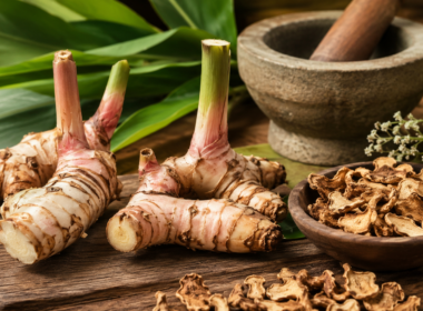 Rasna (Alpinia officinarum), also known as lesser galangal, is valued for its aromatic rhizomes, distinctive phytochemicals and long history of traditional medicinal use. The herb contains volatile oils, flavonoids such as galangin and other plant compounds studied for their potential biological properties. Representative image.