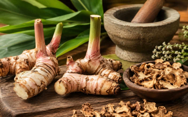Rasna (Alpinia officinarum), also known as lesser galangal, is valued for its aromatic rhizomes, distinctive phytochemicals and long history of traditional medicinal use. The herb contains volatile oils, flavonoids such as galangin and other plant compounds studied for their potential biological properties. Representative image.