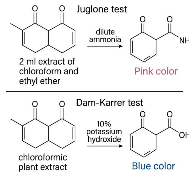 How biochemical tests detect naphthoquinones in plant extracts principles, procedures, and relevance