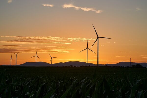 Adani Green Energy commissions 324MW Dhar wind farm in Madhya Pradesh