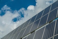 Leeward Renewable Energy starts construction of 100MW Oak Trail Solar Project