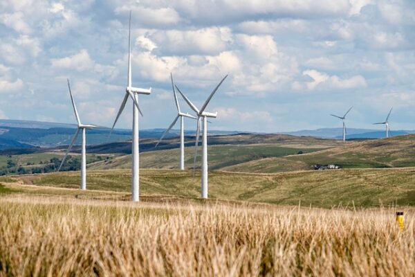 Octopus Energy Generation invests in Nexta to develop 1.1GW renewable energy in Italy