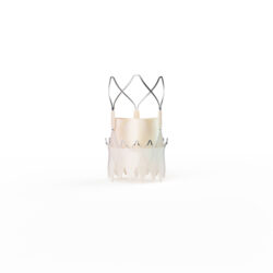 Boston Scientific ACURATE neo2 Aortic Valve System delivers procedural success rate of 98%