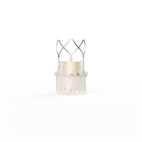 Boston Scientific ACURATE neo2 Aortic Valve System delivers procedural success rate of 98%