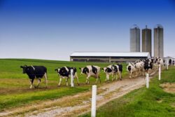 Fonterra, Nestlé to sell Dairy Partners Americas to Lactalis for $132m