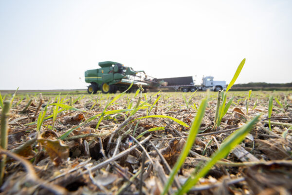 Cargill closes acquisition of Owensboro Grain Company