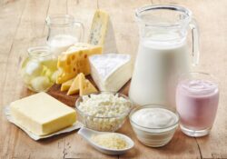 Leprino Foods taps Univar Solutions for the distribution of nutritional ingredients and dairy products in the US and Canada