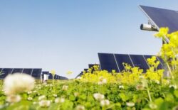 Lightsource bp commissions Bellflower Solar project in Indiana