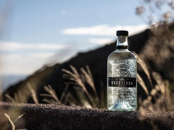 Pernod Ricard introduces Mexican craft spirit Nocheluna Sotol in Europe