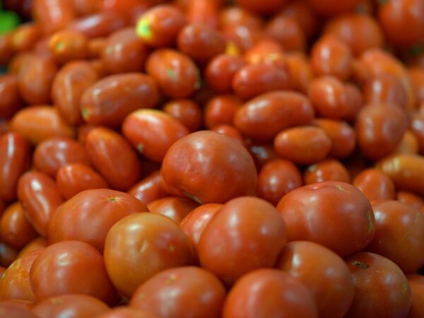 Indian government intervenes to lower tomato prices nationwide