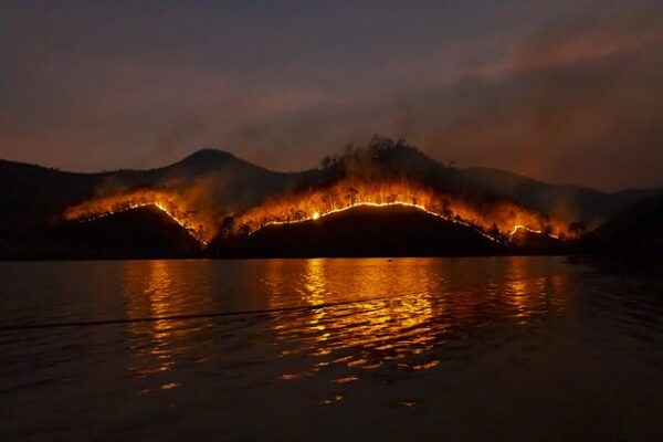 Greek island of Rhodes ravaged by wildfires: Tourist evacuation underway