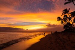 Maui's famous resort town Lahaina disappears in blazing inferno