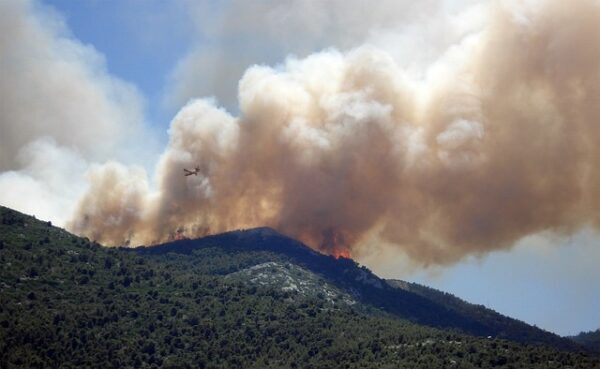 Wildfire Near Spain’s Portbou Border Prompts Evacuation of Over 130 People