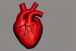 Tata Consultancy Services teams up with Dassault Systems to revolutionize cardiovascular research