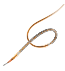 Sahajanand Medical Technologies completes patient enrolment for TUXEDO-2 trial, assessing the Supraflex Cruz stent in diabetic CAD patients.