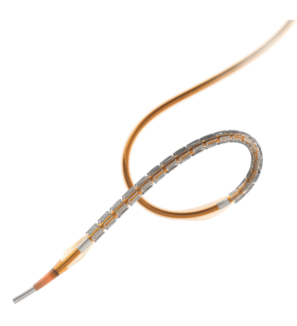 Sahajanand Medical Technologies completes patient enrolment for TUXEDO-2 trial, assessing the Supraflex Cruz stent in diabetic CAD patients.