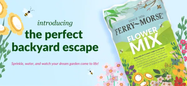 Ferry-Morse launches new bulk flower seed mixes for 2025