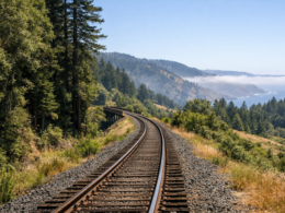 Representative image. A rail corridor running through Northern California’s forested landscape, reflecting the Fort Bragg–Willits line preserved within the national rail network following the Surface Transportation Board’s decision.