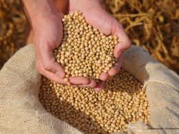 IFF wins first soy protein heart health claim in Australia and New Zealand as functional nutrition demand rises