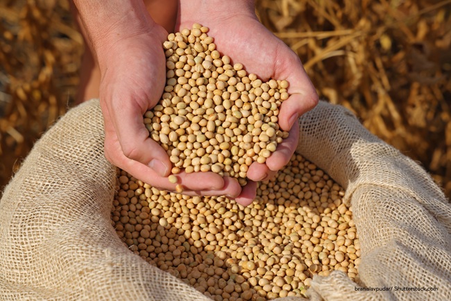 IFF wins first soy protein heart health claim in Australia and New Zealand as functional nutrition demand rises