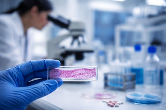 Representative image of a laboratory skin research setting illustrating the kind of translational science behind Rubedo Life Sciences’ RLS-1496 Phase 1 dermatology results in psoriasis, atopic dermatitis, and skin aging.