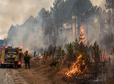 Representative image: Firefighters battle a roadside wildfire in a pine forest as smoke spreads across a rural Georgia landscape, reflecting the growing concern over how drought, power-line risks, and small ignition sources may have intensified the Brantley County and Clinch County blazes.