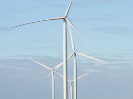 RWE secures Australian federal approval for A$3 billion Theodore Wind Farm