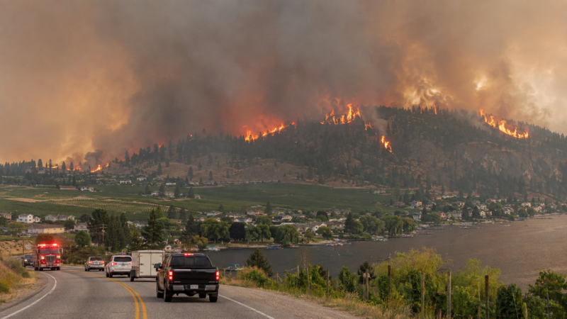 British Columbia’s Bald Range wildfire has forced more than 20,000 residents from Summerland, Peachland and surrounding Okanagan communities as the province battles an escalating wildfire emergency. Representative image.