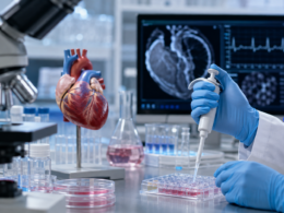 Greenstone Biosciences is advancing NIH-backed research into potential cardiac fibrosis therapies for Duchenne muscular dystrophy using patient-derived stem cell models and AI-assisted drug discovery. Representative image.