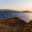 NLC India is seeking 1,500 acres of private land for utility-scale solar projects in Tamil Nadu, implying around 300 MW of initial capacity with potential expansion to roughly 600 MW under a green-shoe option. Representative image.