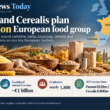 Editorial infographic showing the proposed combination of Panzani and Cerealis, highlighting an indicative €1.8 billion enterprise value, about €1 billion in combined annual revenue, nearly 1,800 employees, a 2025 revenue base of €620 million for Panzani and €400 million for Cerealis, and a European footprint spanning France, Portugal, Spain, the Netherlands and Central Europe.