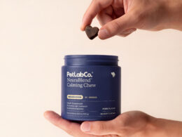 PetLabCo launches NeuraBlend calming chews as pet wellness brands target canine stress