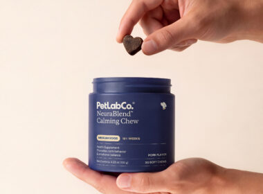 PetLabCo launches NeuraBlend calming chews as pet wellness brands target canine stress